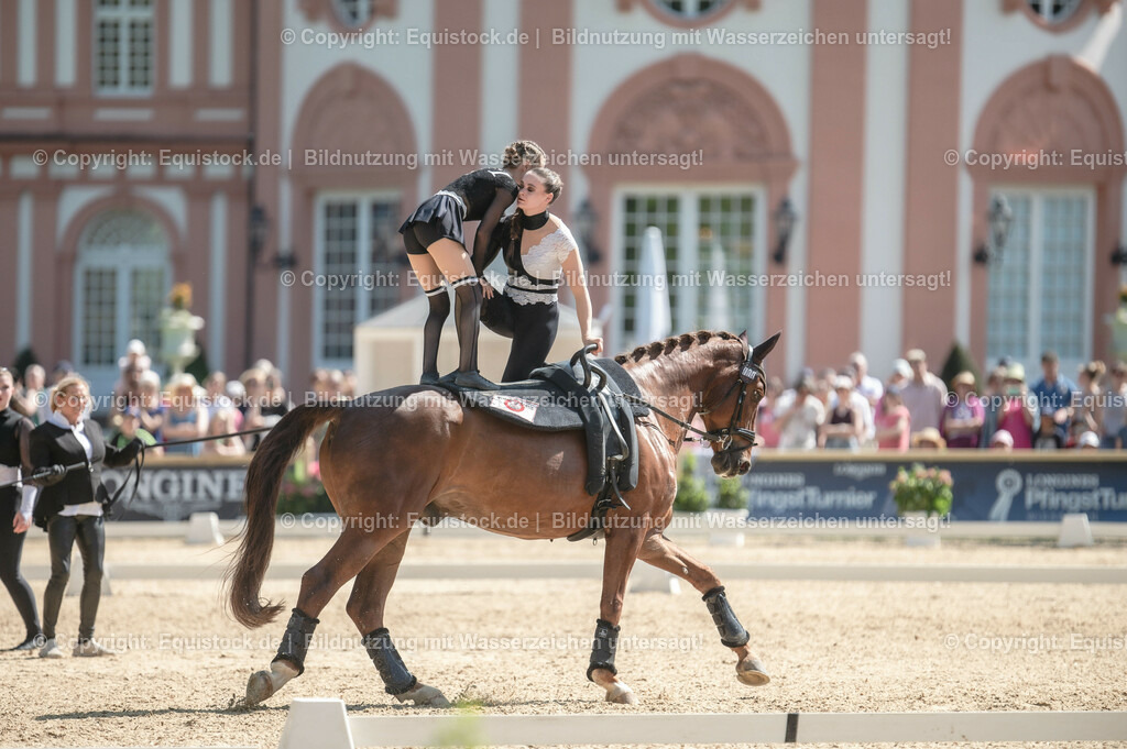 20230528_Voltigieren_NASPA_0546 | equistock