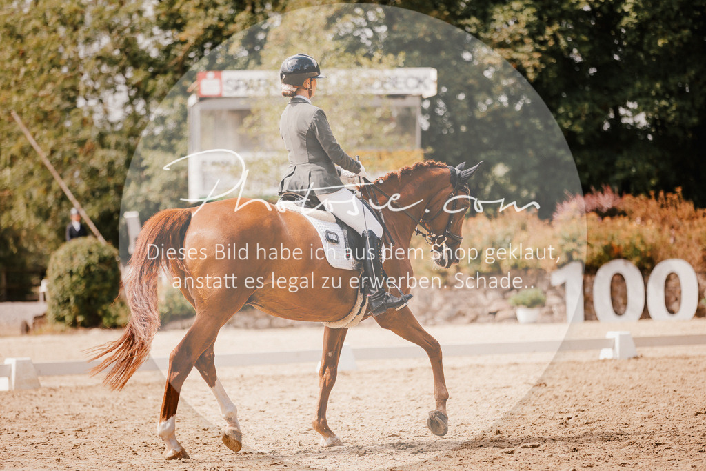 3I6A6066 | Stimmungsvolle Portraits und Reitsportfotografie im Ruhrgebiet und im Münsterland.

Pferdefotografie, Hundefotografie, Tierfotografie, Reportagen, Portraits von Tier und Mensch, Turnierfotografie in Bochum, Recklinghausen, Marl, Haltern am See, Dülmen.. - Realisiert mit Pictrs.com