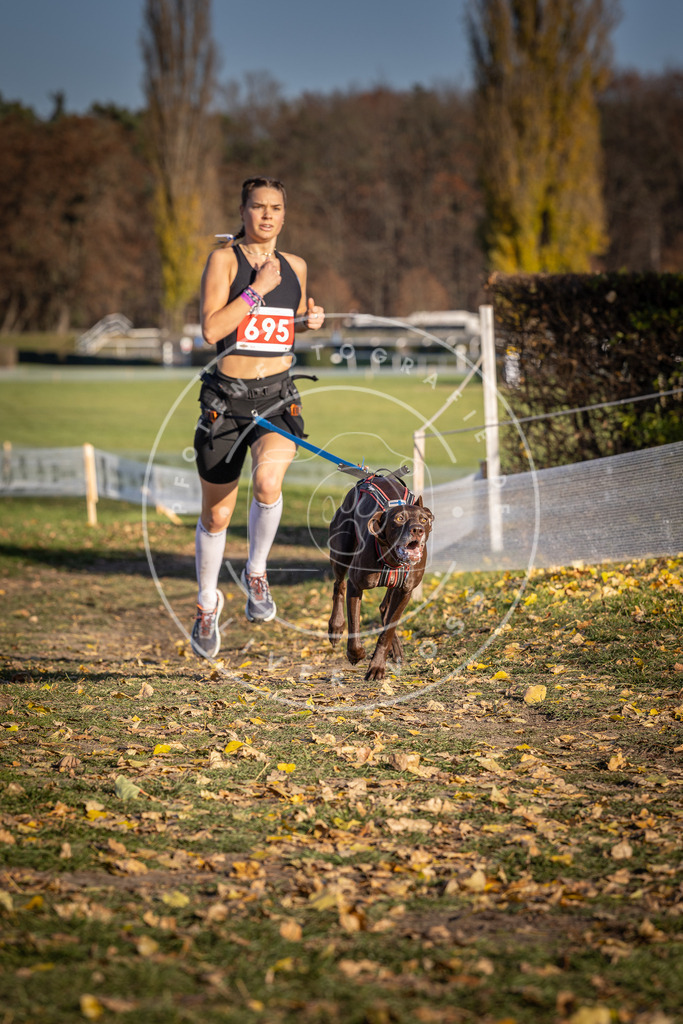 CaniXpix_DV3A1384 | Hundefotografie, Tierfotograf, Pfotenfotografie, Fotoshooting Hund, Hunde Portrait, Hundesport, Hundeportraits, Heideshooting, Hunde, Sportfotograf, Hundefotograf, Turnierhundsport, THS,  - Realisiert mit Pictrs.com