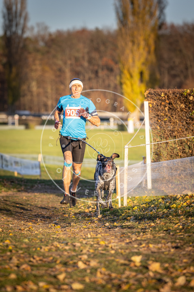 CaniXpix_DV3A4695 | Hundefotografie, Tierfotograf, Pfotenfotografie, Fotoshooting Hund, Hunde Portrait, Hundesport, Hundeportraits, Heideshooting, Hunde, Sportfotograf, Hundefotograf, Turnierhundsport, THS,  - Realisiert mit Pictrs.com