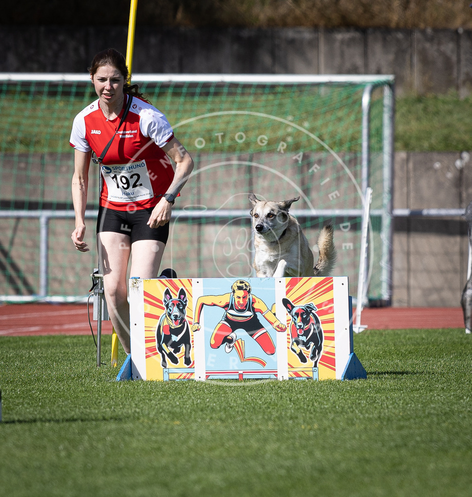 Pfotenfotografie_DV3A0601 | Hundefotografie, Tierfotograf, Pfotenfotografie, Fotoshooting Hund, Hunde Portrait, Hundesport, Hundeportraits, Heideshooting, Hunde, Sportfotograf, Hundefotograf, Turnierhundsport, THS,  - Realisiert mit Pictrs.com