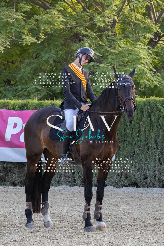 IMG_9833 | s-jay-photography - Realisiert mit Pictrs.com