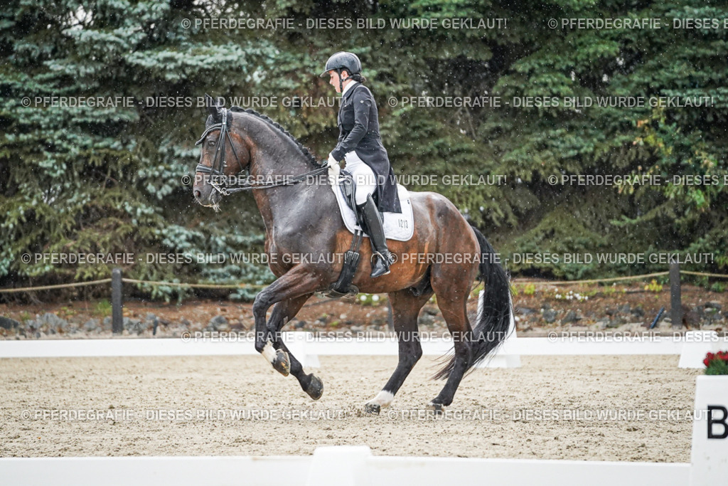 DSC08201 | Pferdegrafie