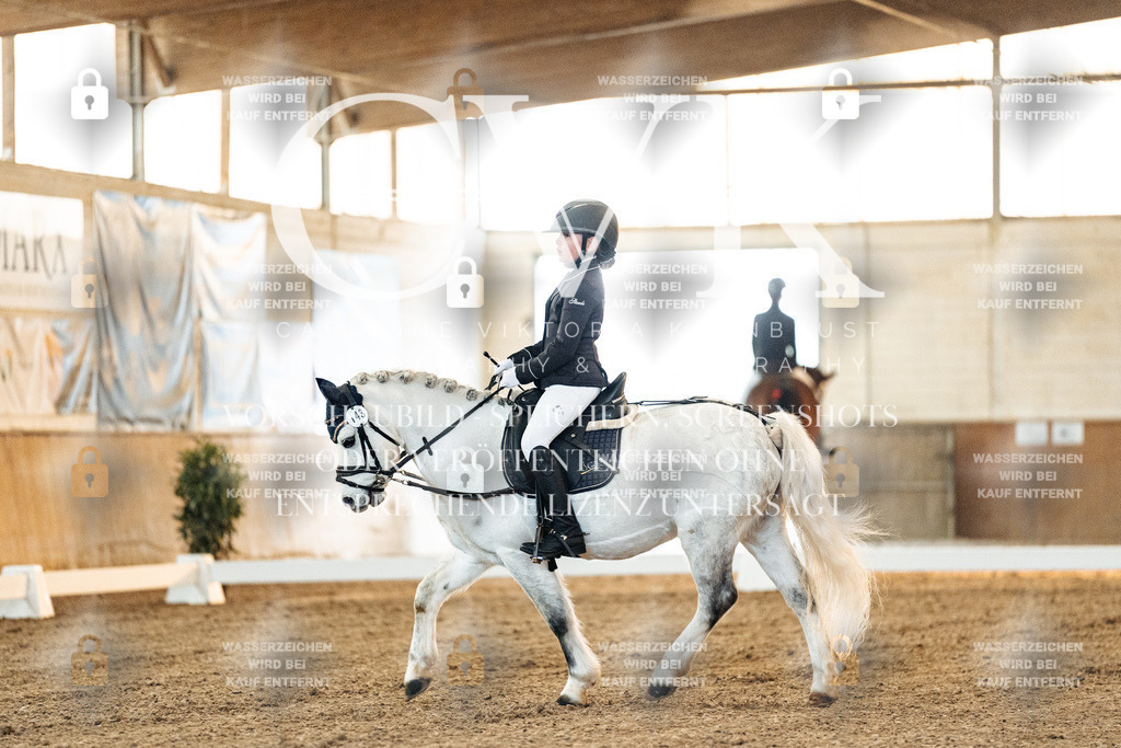 CK906438 | Turnierfotografie Pferdefotografie Trier Rheinland-Pfalz Pferdesport Reitsport Tierfotografie Sportfotografie Pferdevideo Pferdevideografie Equestrianvideography equestrianphotography  - Realisiert mit Pictrs.com