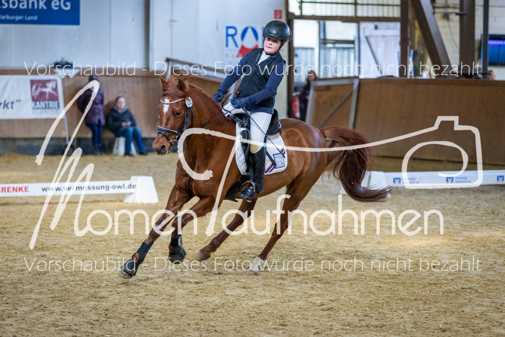 Sth-WBO25-RW2Spr-060 | MomenTaufnahmen Pferdesportfotos