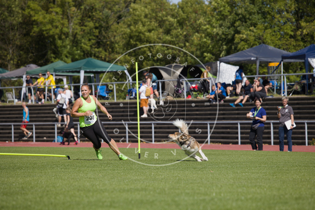 0L8A6992 | Hundefotografie, Tierfotograf, Pfotenfotografie, Fotoshooting Hund, Hunde Portrait, Hundesport, Hundeportraits, Heideshooting, Hunde, Sportfotograf, Hundefotograf, Turnierhundsport, THS,  - Realisiert mit Pictrs.com