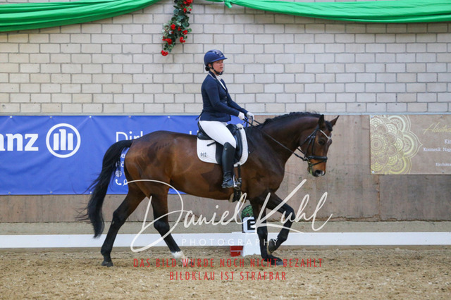 IMG_2743 | Turnierfotos kaufen im Webshop von Daniel Kuhl Photography – entdecke professionelle Reitsportfotos aus Turnieren & Events. Hochwertige Turnierbilder online bestellen & sichern. Jetzt Fotos von Reitsportturnieren kaufen!