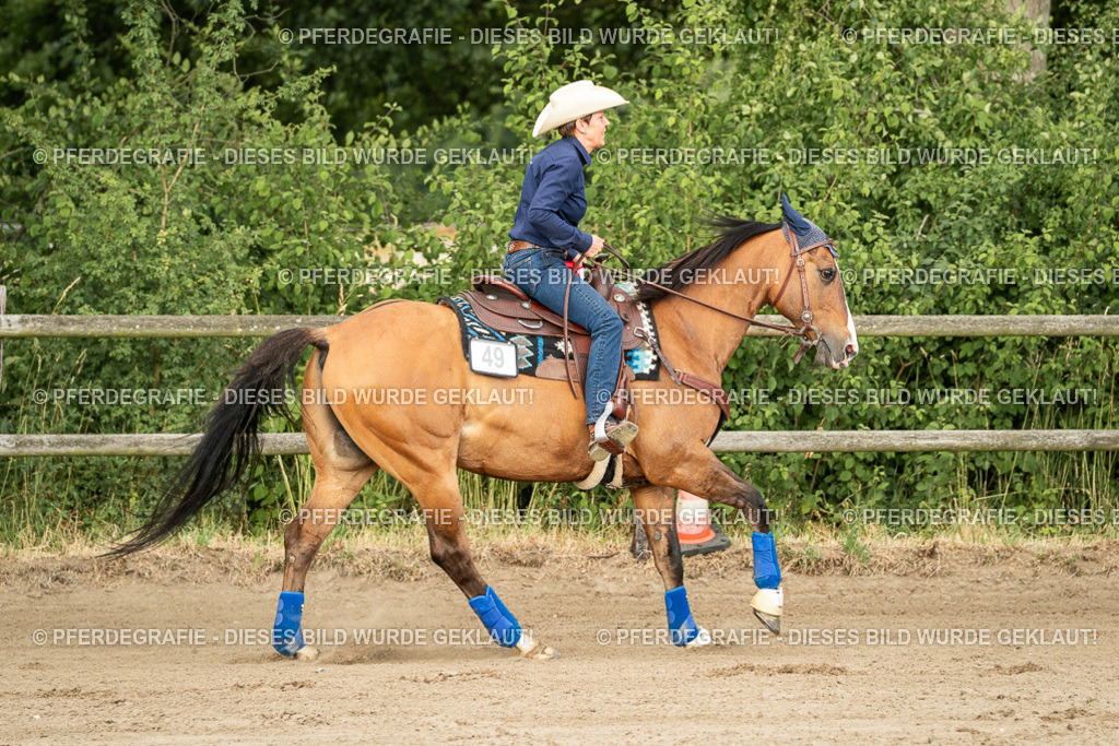 DSC05186 | Pferdegrafie