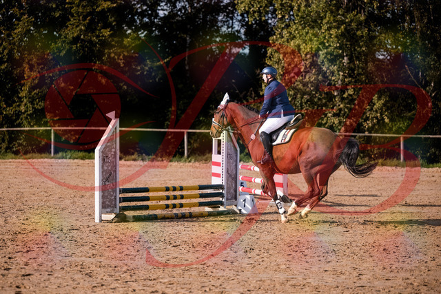 2026_10_03_Siefer-Hof_160614_Z81_87482814 | Professionelle Reitsport-, Turnier- und Eventfotografie von Robert Broda. Galerien mit ausgewählten und bearbeiteten Bildern direkt online ansehen und bestellen.