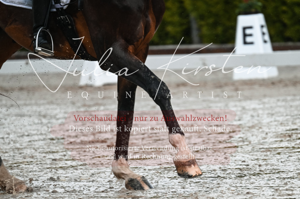DSC_4176 | Pferde- und Turnierfotografie in Westsachsen. Pferdeportraits, Auftragszeichnungen und intuitive Kunst.