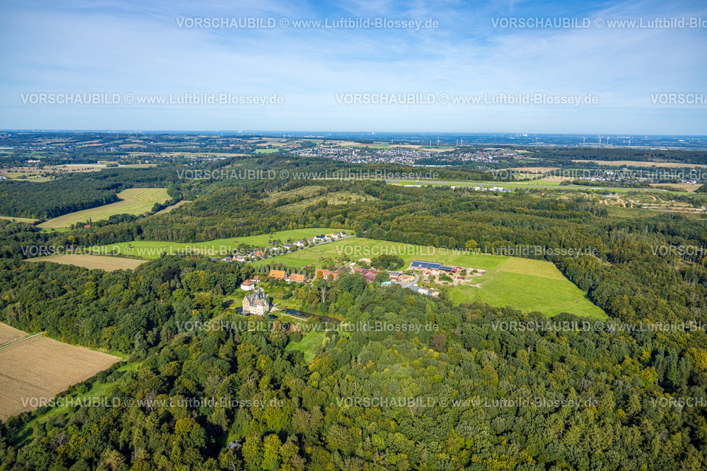 Arnsberg230904215 | Luftbild, Schloss Höllinghofen, Wasserschloss im Waldgebiet, Parkpferde, Voßwinkel, Arnsberg, Sauerland, Nordrhein-Westfalen, Deutschland