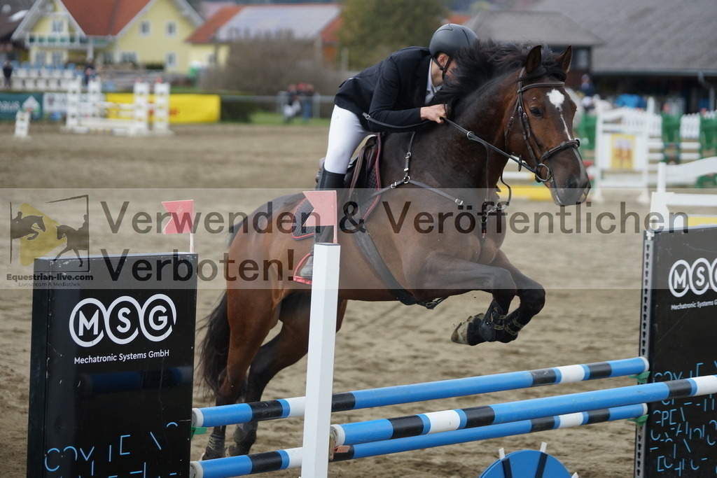 DSC01292 | equestrian-live-com