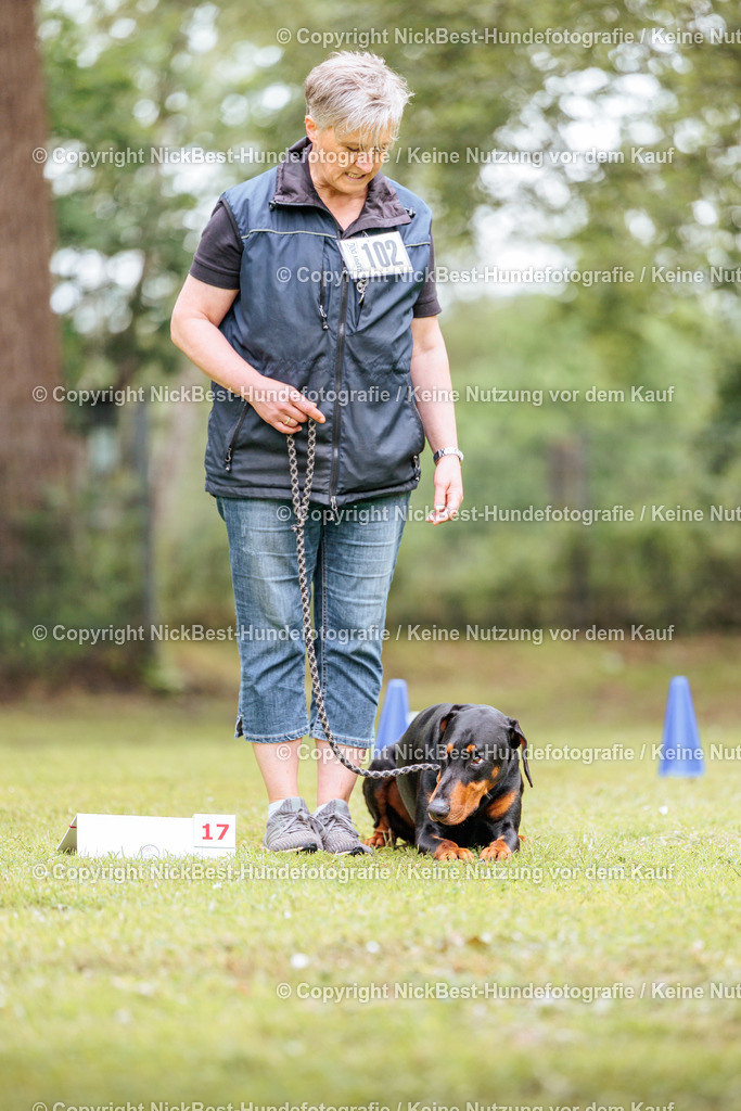 RO-Blumenthal-2026-Nickbest-Hundefotografie-5301 | Dein Hund! Dein Moment! Deine Erinnerungen! Hundefotografie in Bremen Blumenthal. Ich fange die besonderen Momente deines Vierbeiners ein – ob Indoor mit Blitzanlage oder in der freien Natur. Sicher dir dein Moment und dein Termin für eure Erinnerungen.