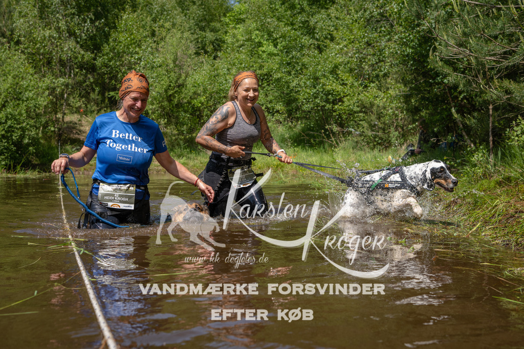 1313DKK994127 | kk-dogfotos