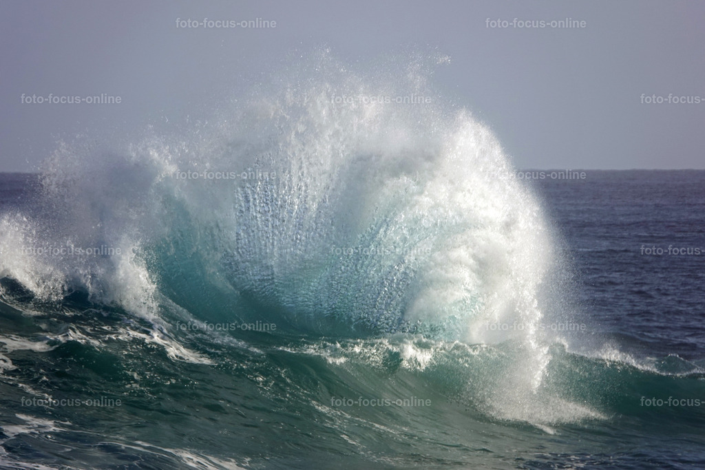 Wild Waves | Wild Waves Atlantic