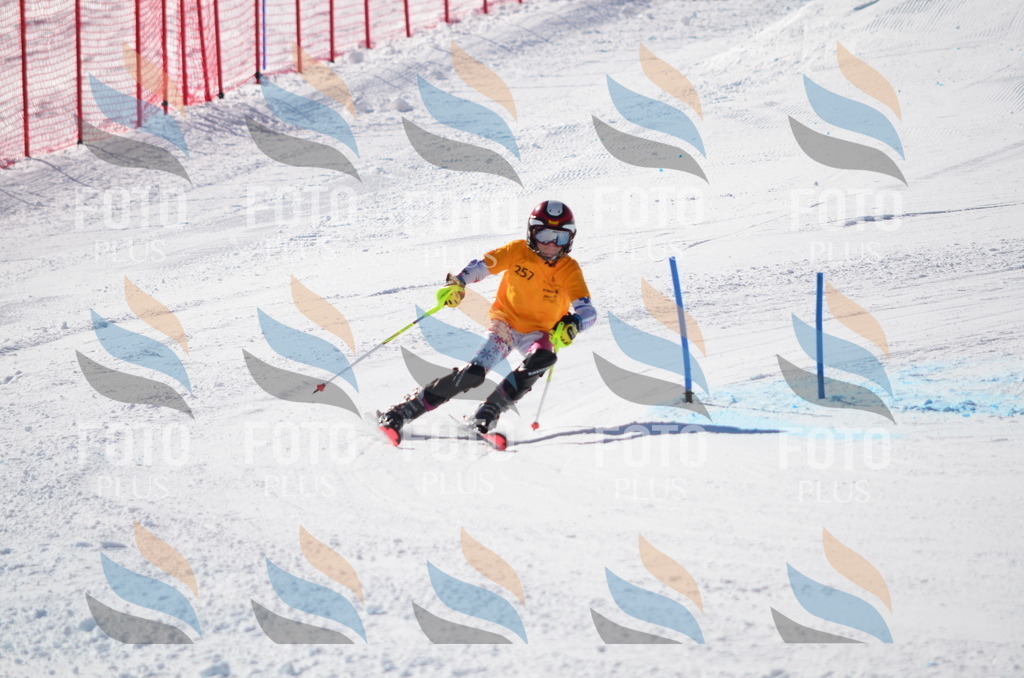 C8483 | holidayphoto