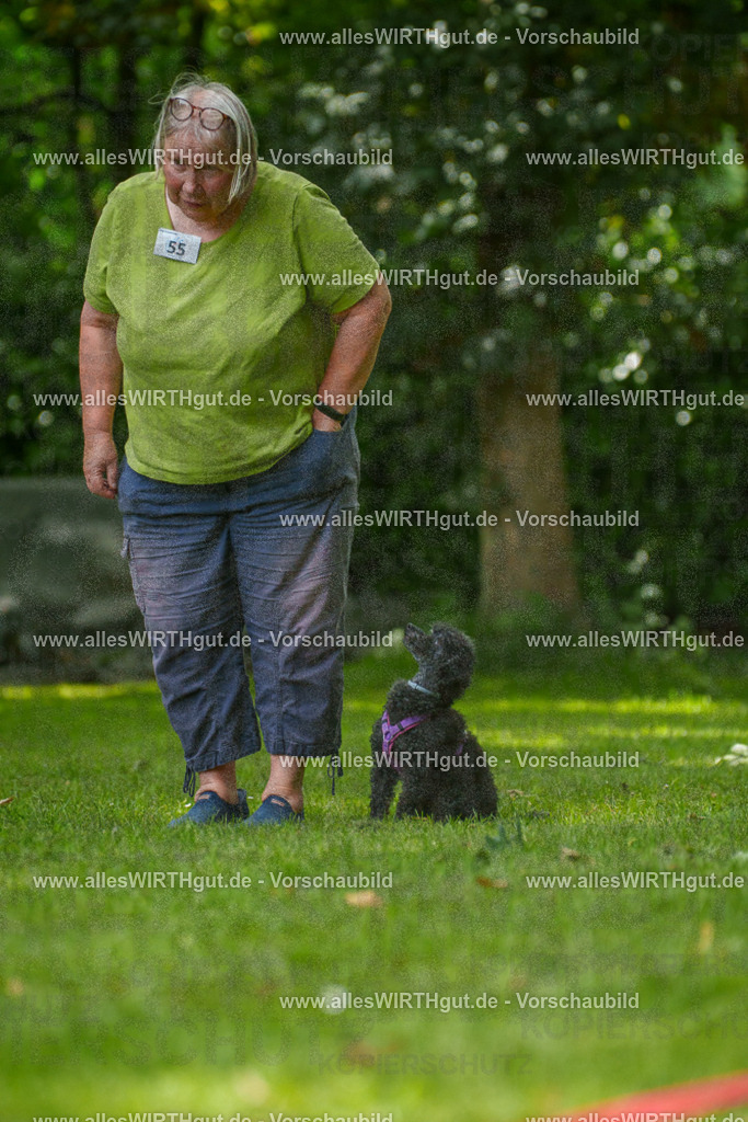 @allesWIRTHgut_Tierfotografie - www.allesWIRTHgut.de - 7R500986 | Professionelle Tierfotografie in Mönchengladbach von Daniel Wirth (allesWIRTHgut). Liebevolle & natürliche Bilder von Hunden & Katzen für unvergessliche Erinnerungen.
