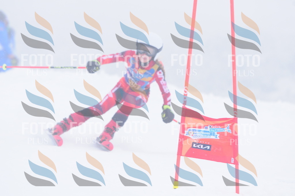 C3565 | holidayphoto