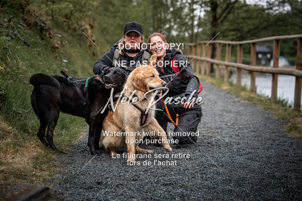 nelerasche_SaAbends_341 | nelerasche