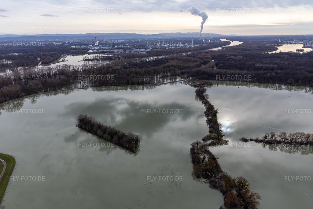 Luftbild: Überflutete Flutungswiesen des Polder Neupotz am Hochwasser- Pegel führenden Flußbett des Rhein in Neupotz in Wörth am Rhein im Bundesland Rheinland-Pfalz in Deutschland. Foto: IMG_124215.jpg vom 04.02.2021 durch Werner Riehm/FLY-FOTO.de
