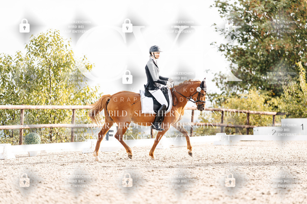 CK901051 | Turnierfotografie Pferdefotografie Trier Rheinland-Pfalz Pferdesport Reitsport Tierfotografie Sportfotografie Pferdevideo Pferdevideografie Equestrianvideography equestrianphotography  - Realisiert mit Pictrs.com