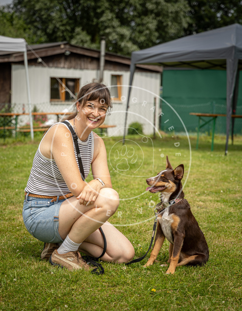 Pfotenfotografie_0L8A4181 | Hundefotografie, Tierfotograf, Pfotenfotografie, Fotoshooting Hund, Hunde Portrait, Hundesport, Hundeportraits, Heideshooting, Hunde, Sportfotograf, Hundefotograf, Turnierhundsport, THS,  - Realisiert mit Pictrs.com
