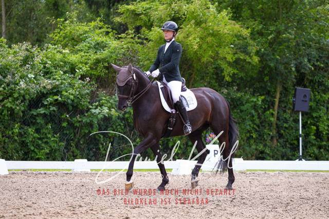 DKP41257 | Turnierfotos kaufen im Webshop von Daniel Kuhl Photography – entdecke professionelle Reitsportfotos aus Turnieren & Events. Hochwertige Turnierbilder online bestellen & sichern. Jetzt Fotos von Reitsportturnieren kaufen!