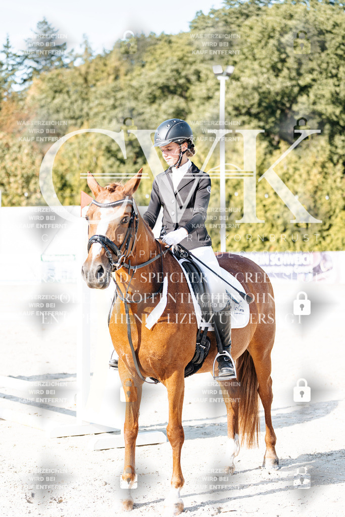 CK903573 | Turnierfotografie Pferdefotografie Trier Rheinland-Pfalz Pferdesport Reitsport Tierfotografie Sportfotografie Pferdevideo Pferdevideografie Equestrianvideography equestrianphotography  - Realisiert mit Pictrs.com