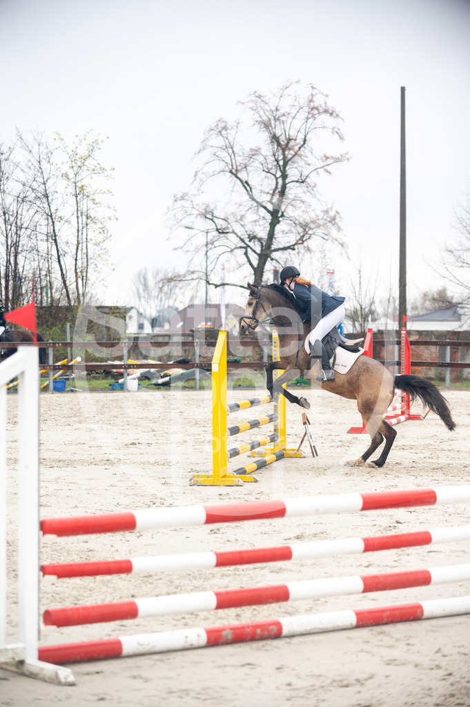 DSC_8802 | sattelsport - Realisiert mit Pictrs.com