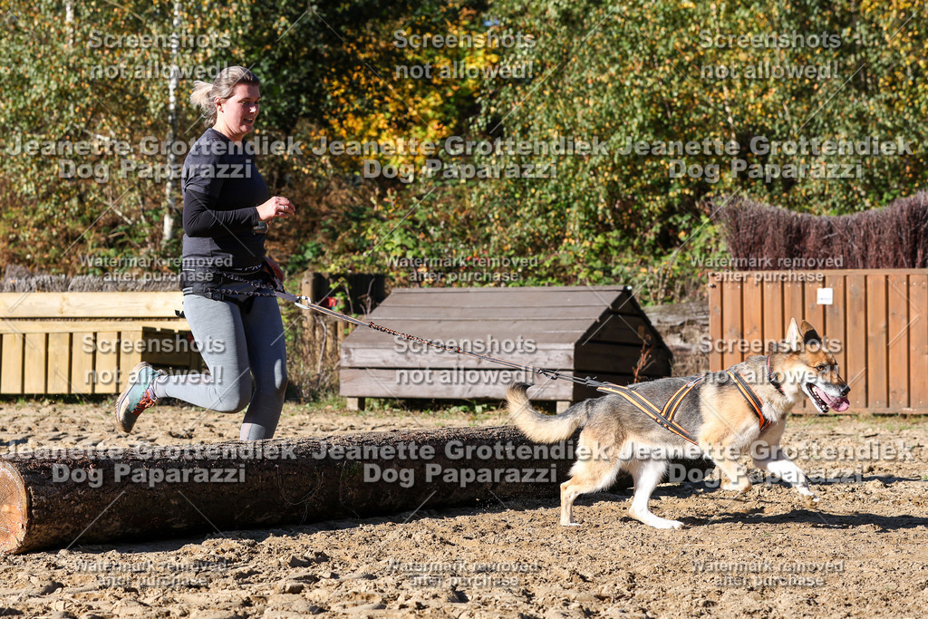 Dog Paparazzi - Strongdog 10-25-2415 | Dog Paparazzi Jeanette Grottendiek Fotografie & Videografie - Realisiert mit Pictrs.com