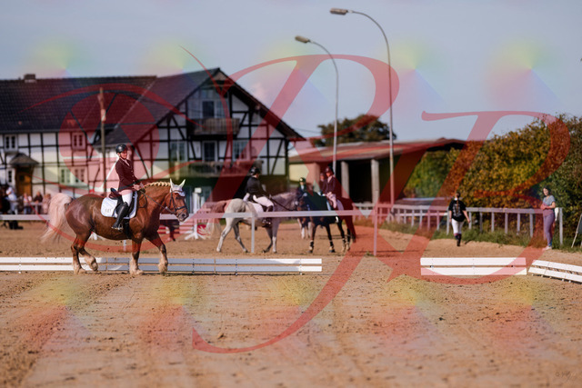 2026_10_03_Siefer-Hof_114126_Z81_84450587 | Professionelle Reitsport-, Turnier- und Eventfotografie von Robert Broda. Galerien mit ausgewählten und bearbeiteten Bildern direkt online ansehen und bestellen.