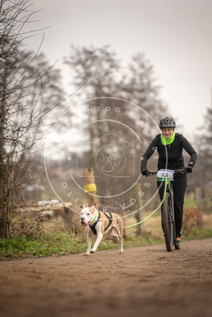 Pfotenfotografie_DV3A4138 | Hundefotografie, Tierfotograf, Pfotenfotografie, Fotoshooting Hund, Hunde Portrait, Hundesport, Hundeportraits, Heideshooting, Hunde, Sportfotograf, Hundefotograf, Turnierhundsport, THS,  - Realisiert mit Pictrs.com