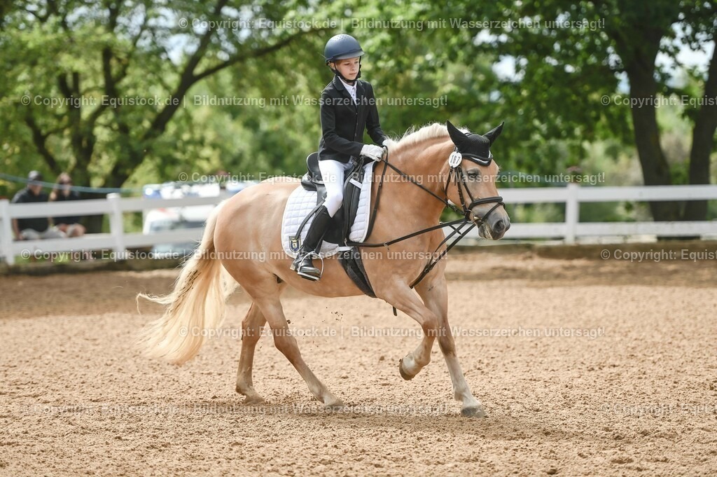 20230716_10-2_Reiter-WB Schritt - Trab - Galopp_0035 | equistock