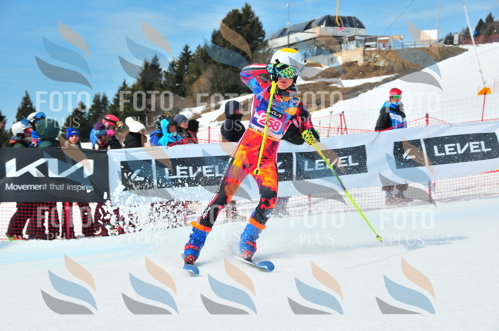 DSC_6163 | holidayphoto