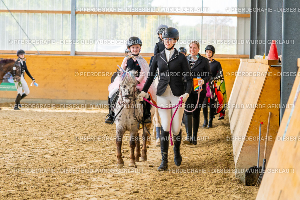 DSC00865 | Pferdegrafie