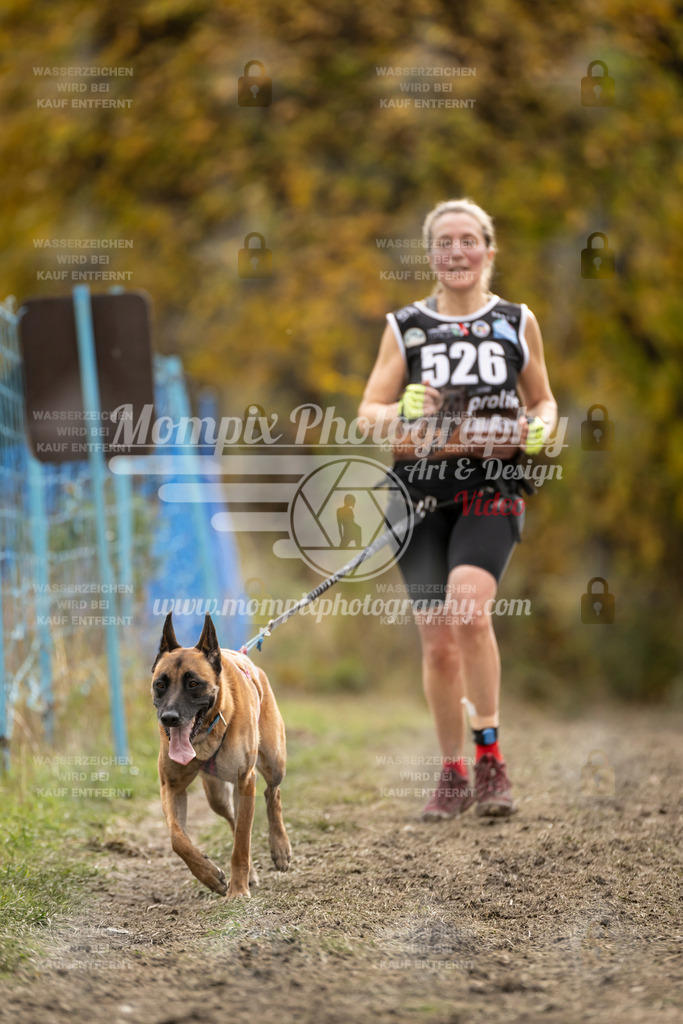MompixPhotography_ICF_WC_2024_SA_Run_-542 | PayLife