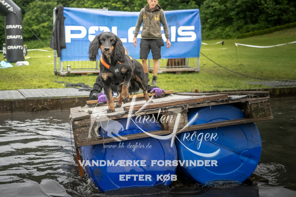 1625_ZZ97453-2 | kk-dogfotos