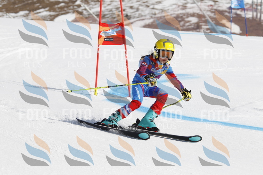 _U3G9194 | holidayphoto