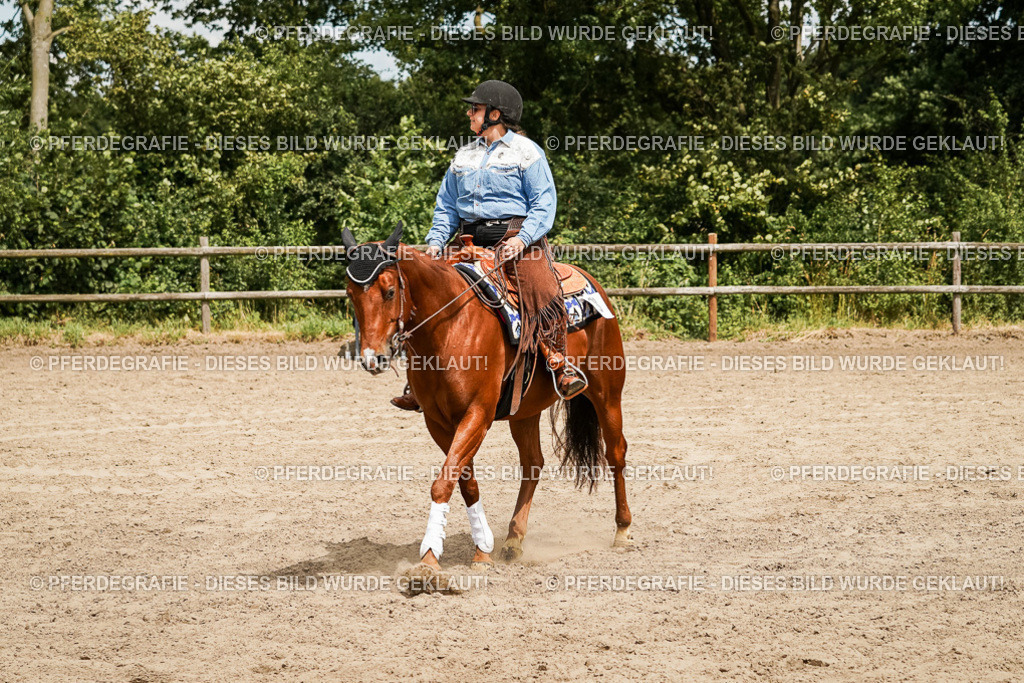 DSC00137 | Pferdegrafie