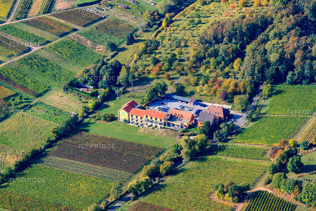 Wohlfühlhotel Alte Rebschule | Luftbild: Wohlfühlhotel Alte Rebschule in Rhodt unter Rietburg im Bundesland Rheinland-Pfalz in Deutschland. Foto: IMG_22170.jpg vom 15.10.2009 durch Werner Riehm/FLY-FOTO.de - Realisiert mit Pictrs.com