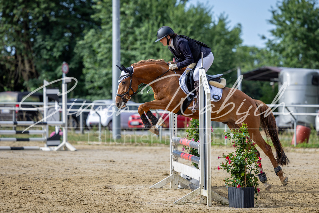 20260704-_3LI6498 | Tierfotografie Pferde, Hunde, Katzen, Haustiere.
Turnierfotografie Reitturniere, Reiten, Springreiten, Dressur in Hanau, dem Main-Kinzig-Kreis und dem Rhein-Main- Gebiet um Frankfurt
