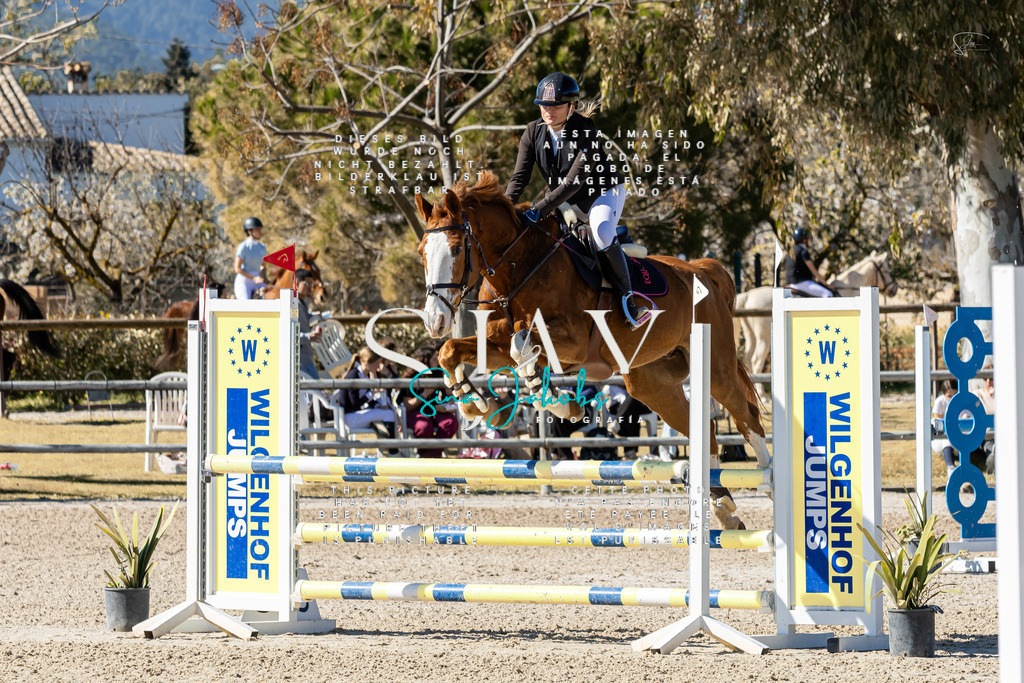 IMG_0771 | s-jay-photography - Realisiert mit Pictrs.com