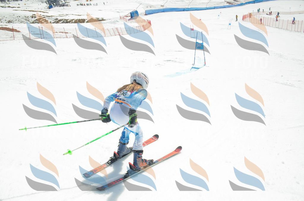 _ELE5736 | holidayphoto