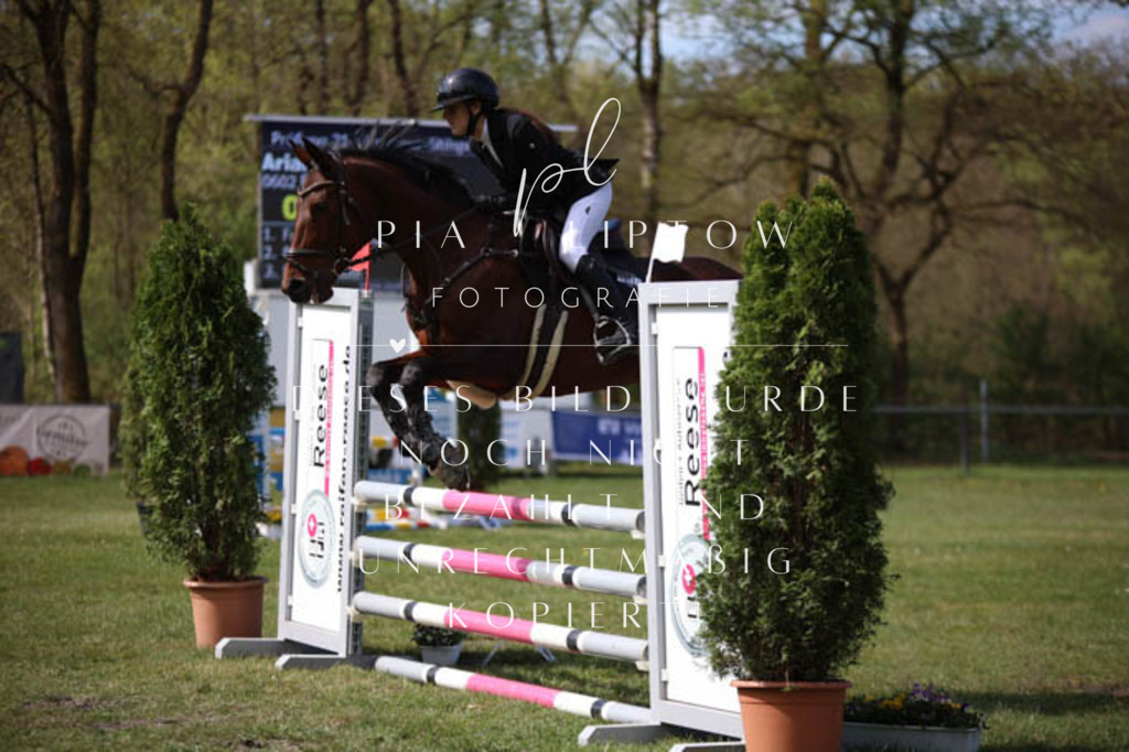 IMGT5432 | pl-fotografie