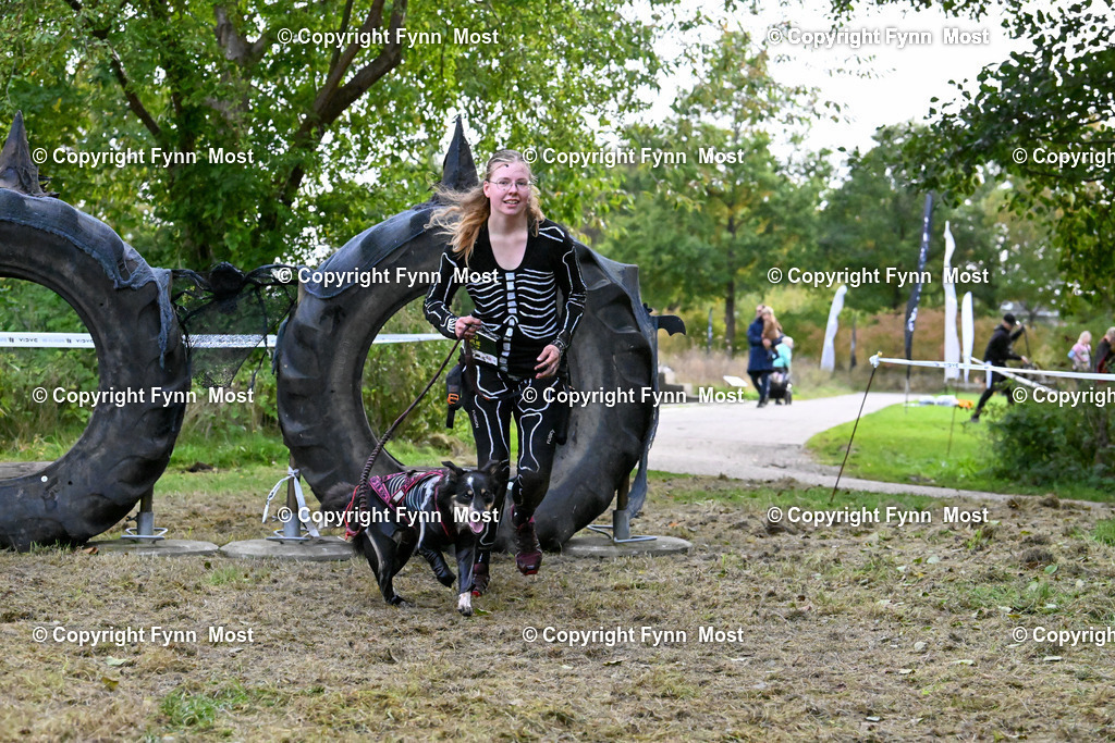 DSC_3911 | Hallo und herzlich Willkommen auf meiner Shop-Seite Fynn Most.

Ich wünsche Dir viel Spaß beim stöbern durch die Bilder, wenn Du Fragen hast oder Bilder vermisst, kannst du mir gerne eine Nachricht schreiben. - Realisiert mit Pictrs.com