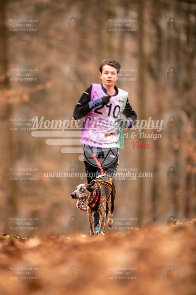 AKM_ST_2023_Son_Run-42 | mompixphotography