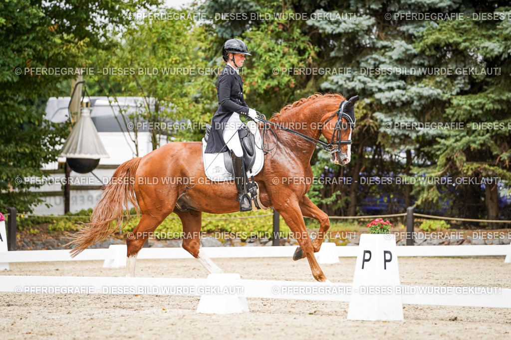 DSC05784 | Pferdegrafie