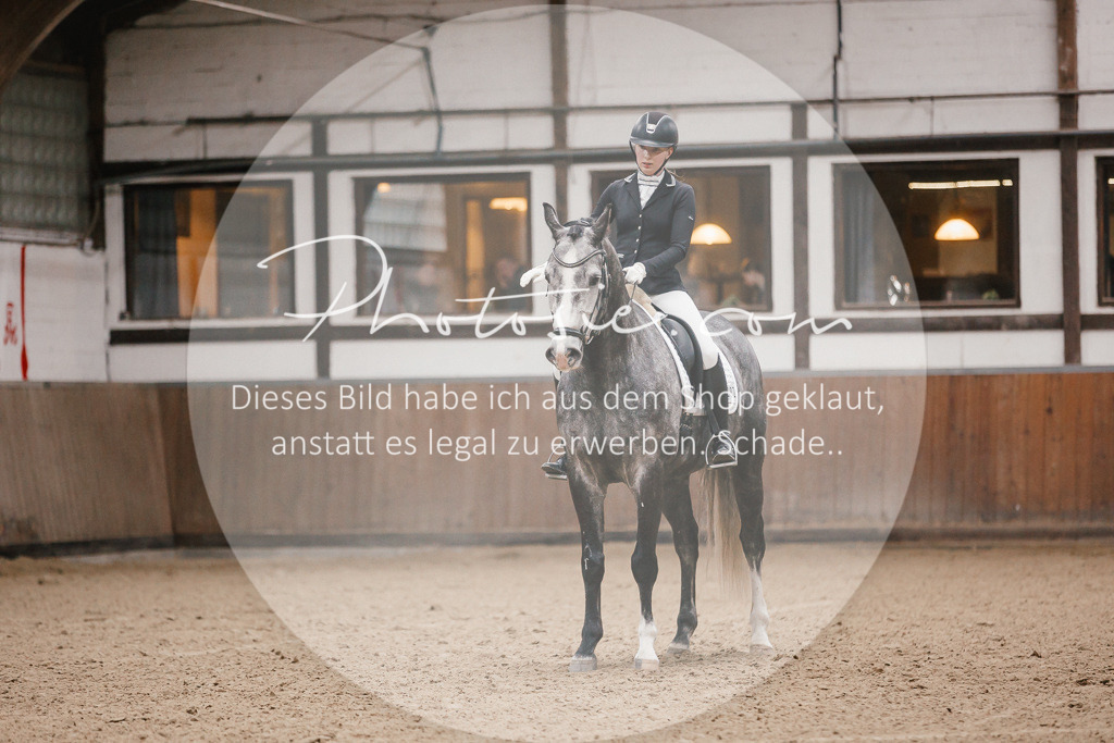 3I6A6058 | Stimmungsvolle Portraits und Reitsportfotografie im Ruhrgebiet und im Münsterland.

Pferdefotografie, Hundefotografie, Tierfotografie, Reportagen, Portraits von Tier und Mensch, Turnierfotografie in Bochum, Recklinghausen, Marl, Haltern am See, Dülmen.. - Realisiert mit Pictrs.com