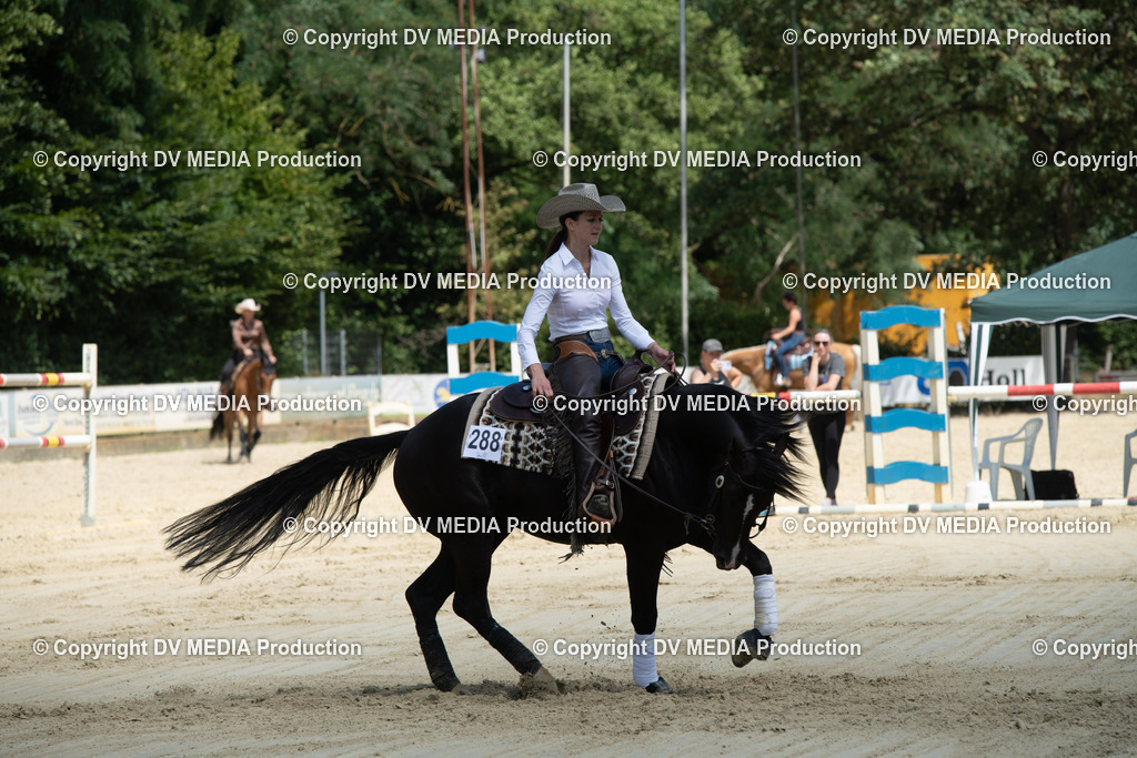 ZS3_0004 | dv-media-shop - Realisiert mit Pictrs.com