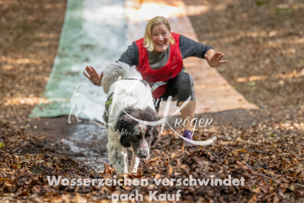 1227_ZZ90184-Bearbeitet | kk-dogfotos